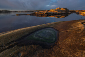 Foto: Svein E. Børresen
